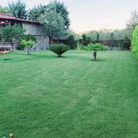 Dimitris' - 3 Apartment