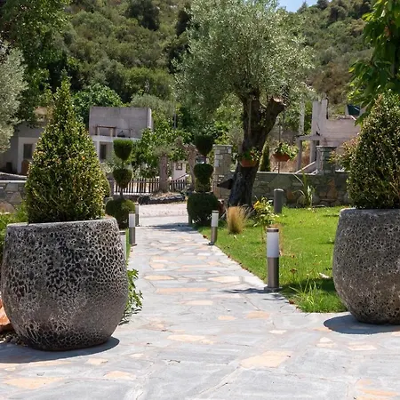 Dimitris' - 3 Ormos Panagias