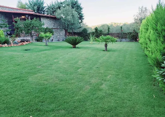 Dimitris' - 3 公寓