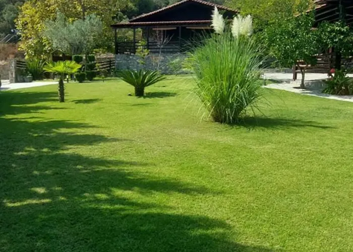 Dimitris' - 3 * 奥马斯帕纳吉亚斯