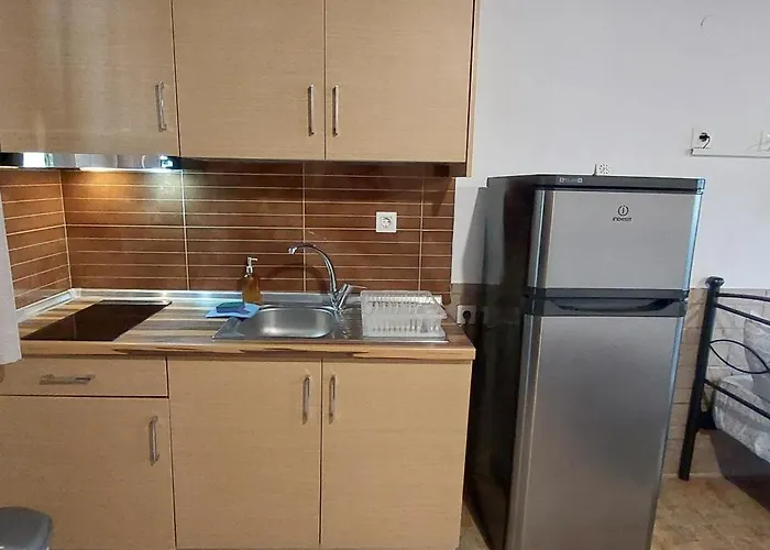 公寓 Dimitris' - 3 *